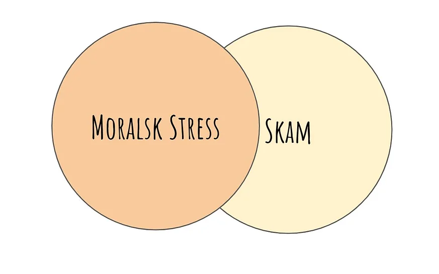 Moralsk Stress - Moralsk stress og skam