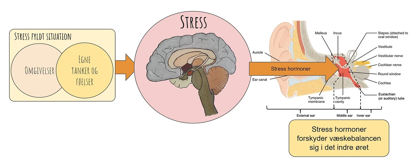 Trykken i øret stress - væskebalancen
