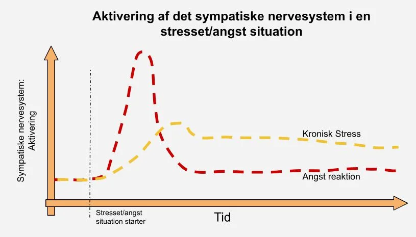 stressudløst angst - aktivering af nervesystemer - stress vs angst