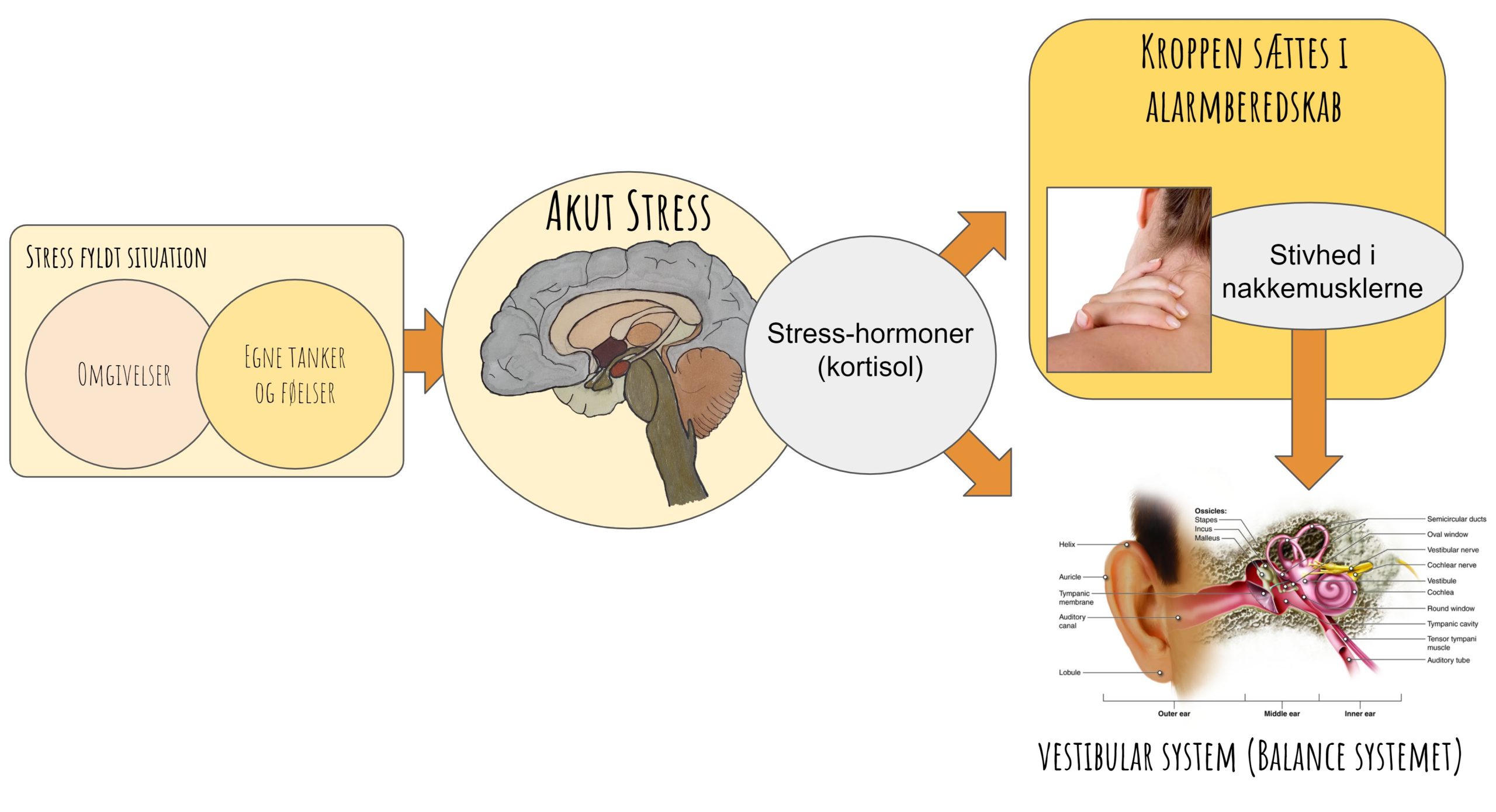 svimmelhed stress stivhed i nakkemusklerne vestibular system